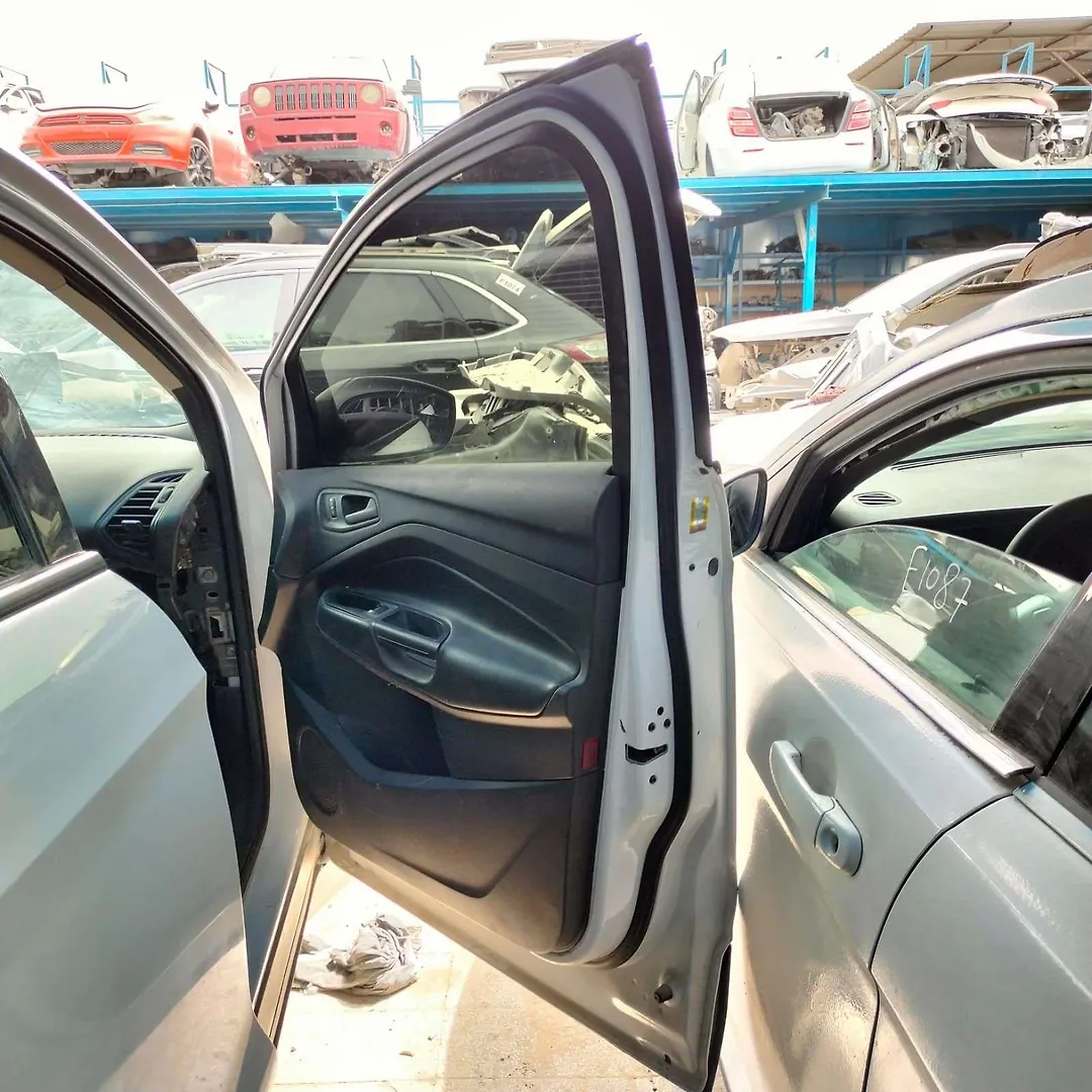 Door (RHF) - 2017 Ford Escape