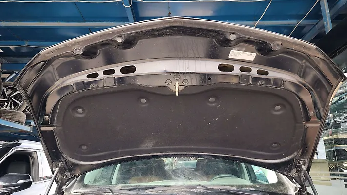 Hood/Bonnet - 2021 Chevrolet Traverse LS