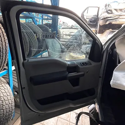 Door (LHF) - 2015 Ford F-150