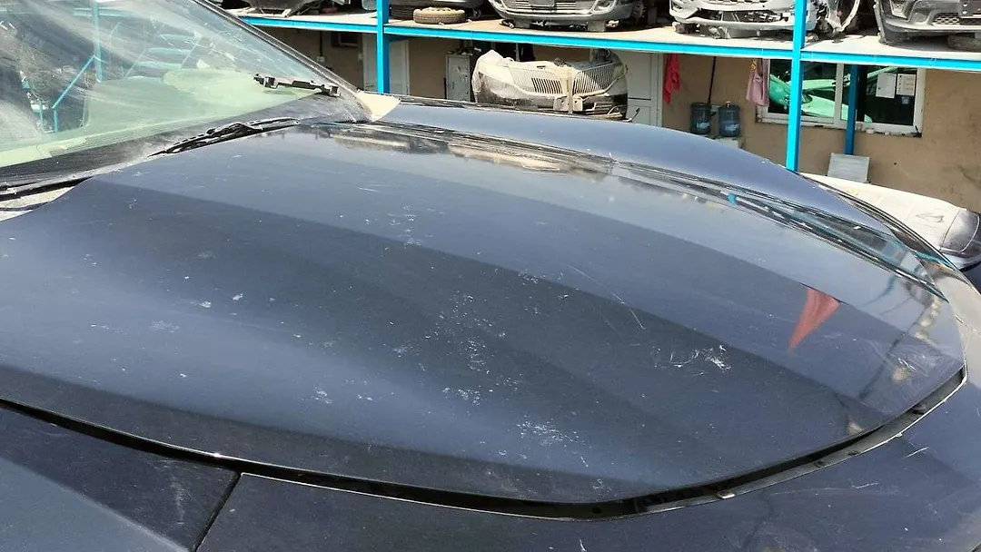 Hood/Bonnet - 2016 Chevrolet Camaro