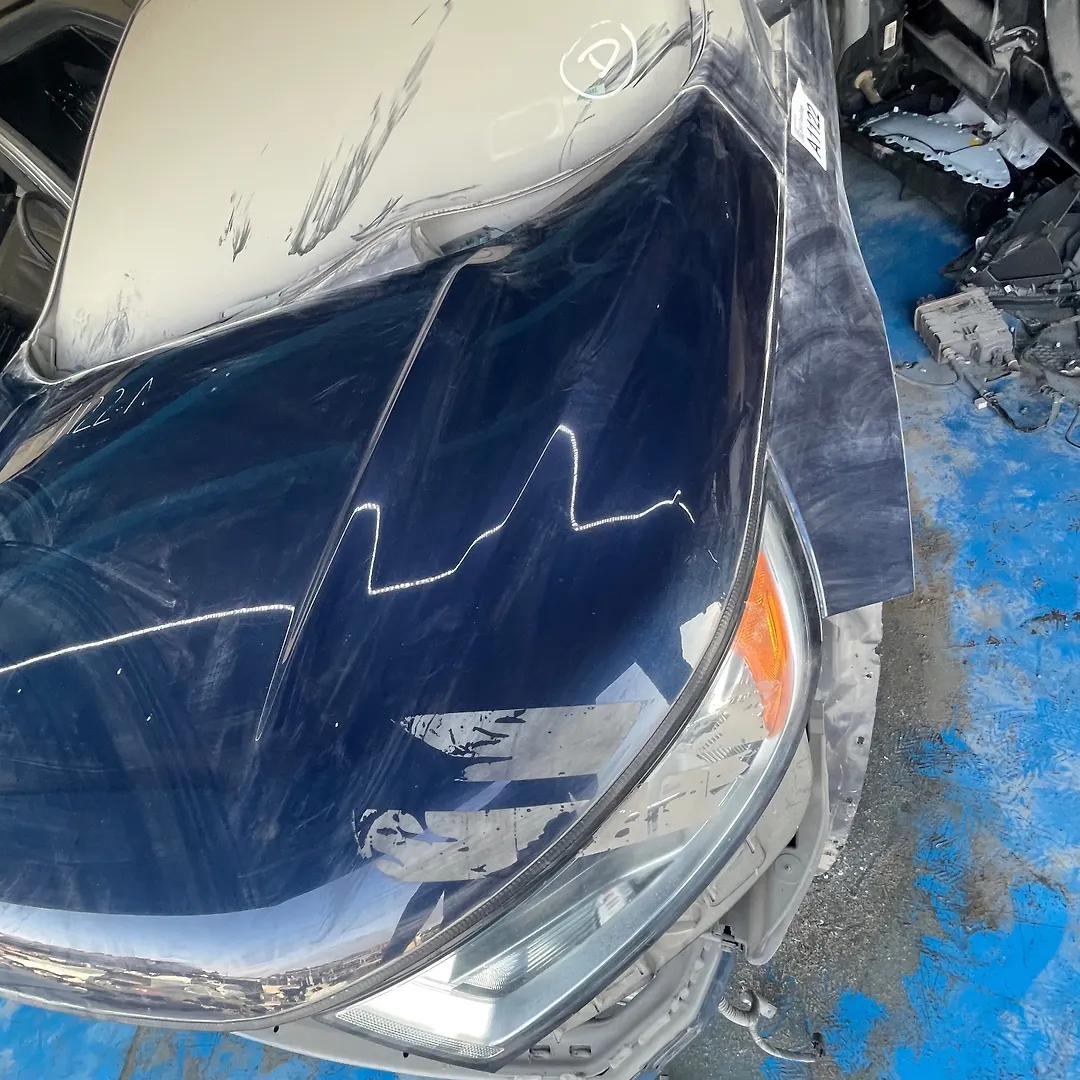 Hood/Bonnet - 2017 Ford Edge