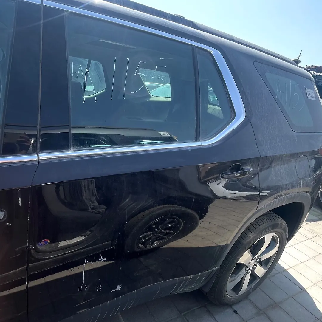 Door (LHB) - 2019 Chevrolet Traverse