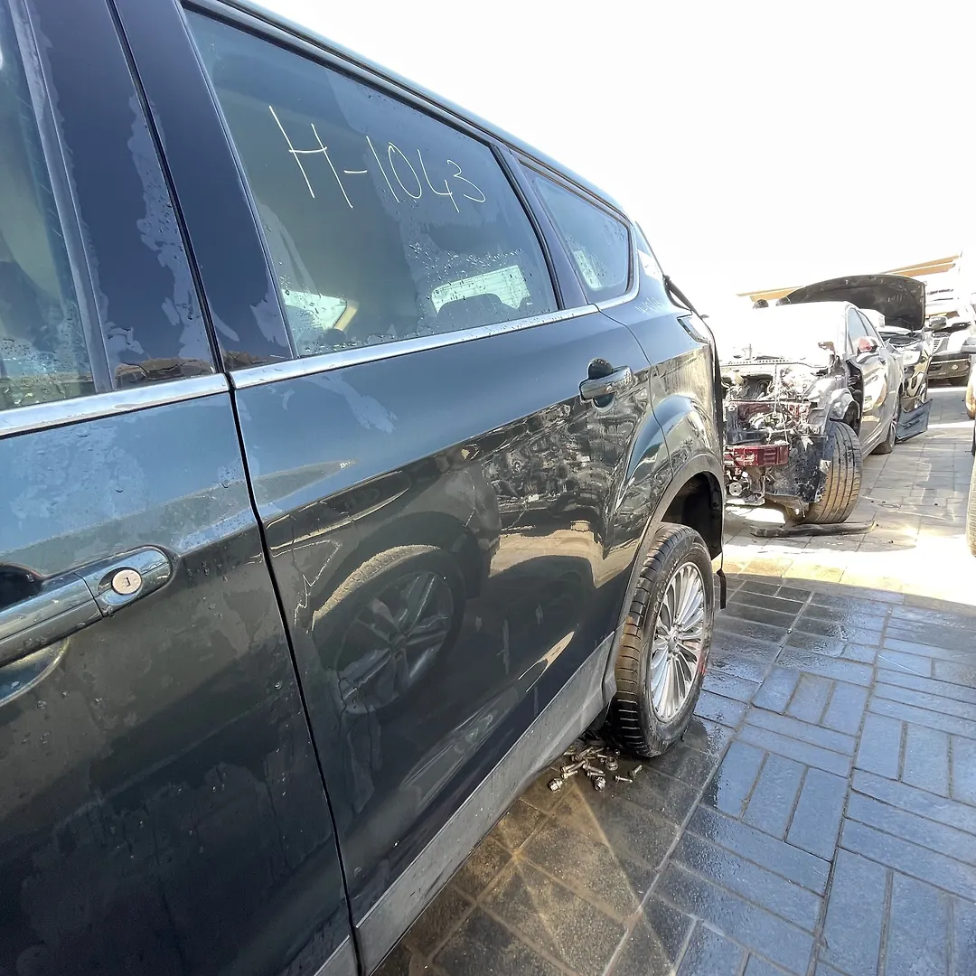 Door (LHB) - 2018 Ford Escape