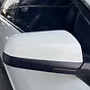 Side Mirror (RH) - 2014 Chevrolet Caprice