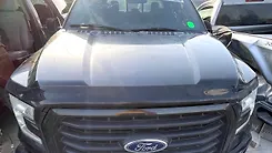 Hood/Bonnet - 2016 Ford F-150