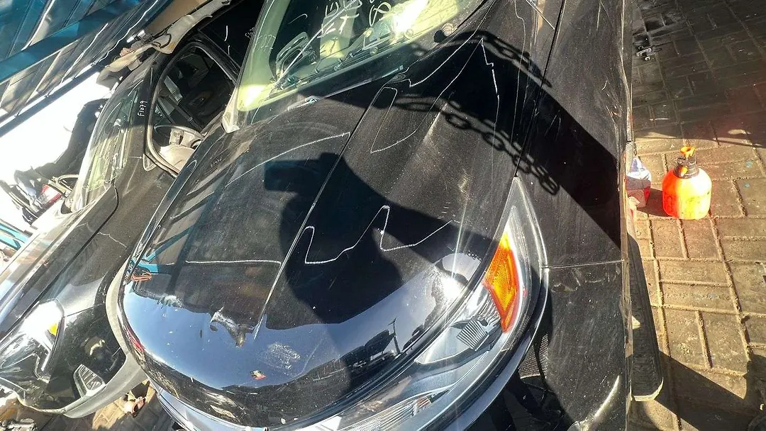 Hood/Bonnet - 2016 Ford Edge