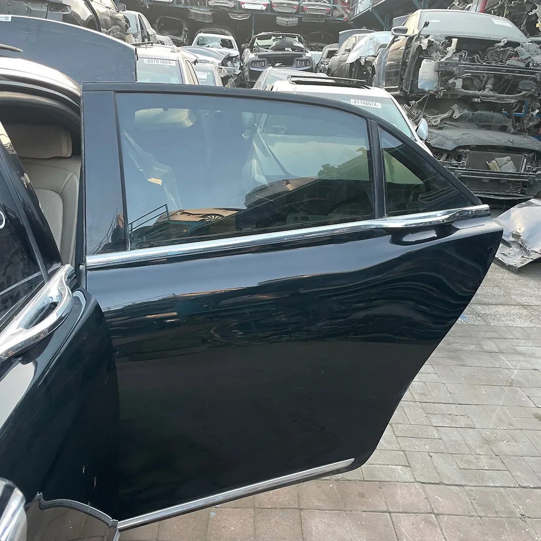 Door (LHB) - 2018 Lincoln Continental