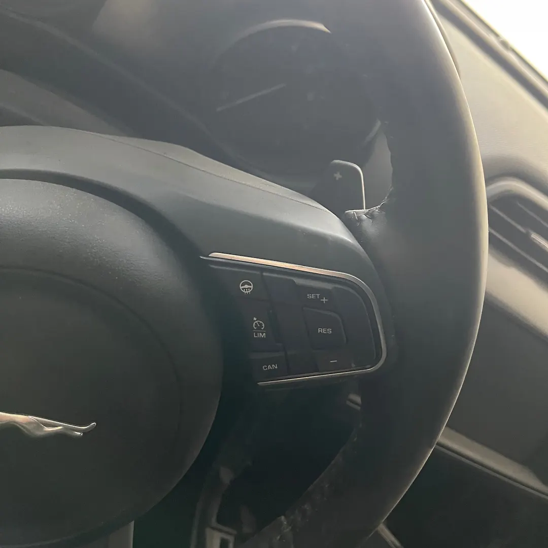 Steering wheel - 2018 Jaguar F PACE