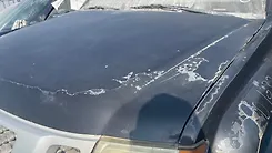 Hood/Bonnet - 2008 Nissan Xterra