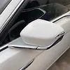 Side Mirror (LH) - 2018 Lincoln Continental Black Label