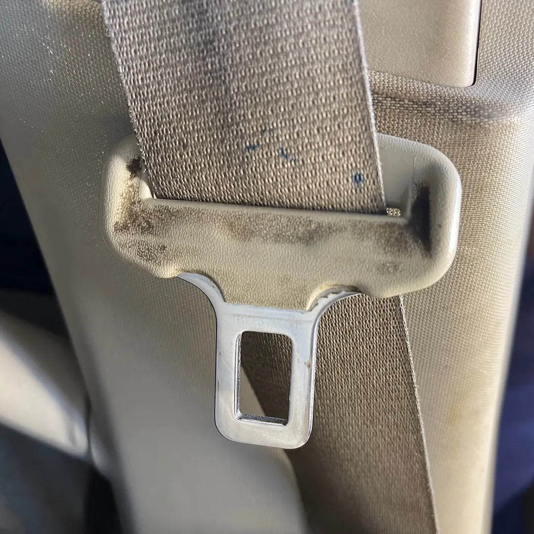 Seat Belt (LHF) - 2017 Toyota Sienna LE