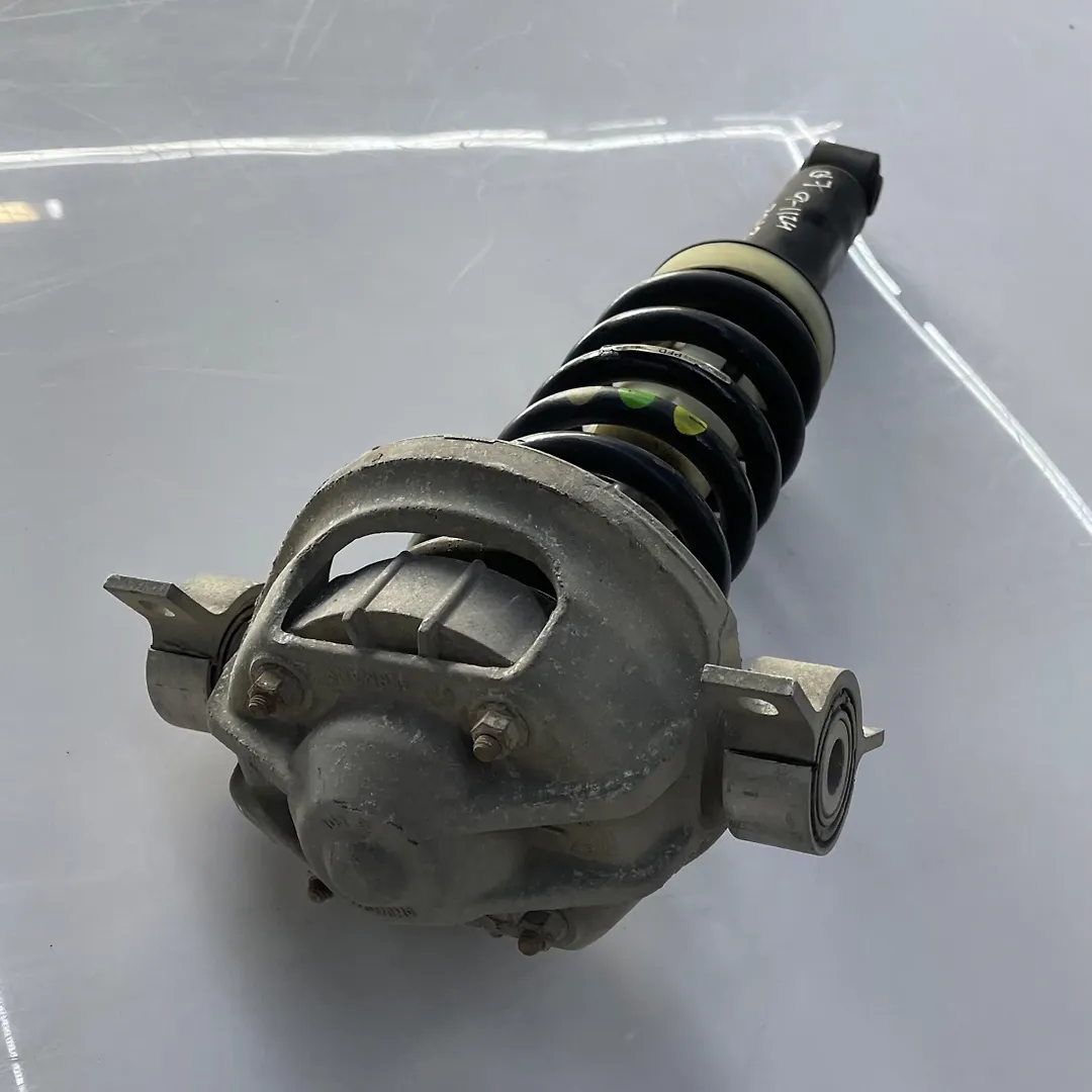 Shock Absober (LHB) - 2013 Audi Q7