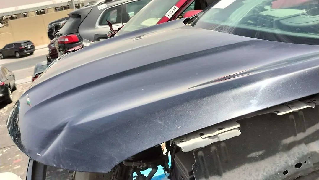 Hood/Bonnet - 2014 Lincoln MKC
