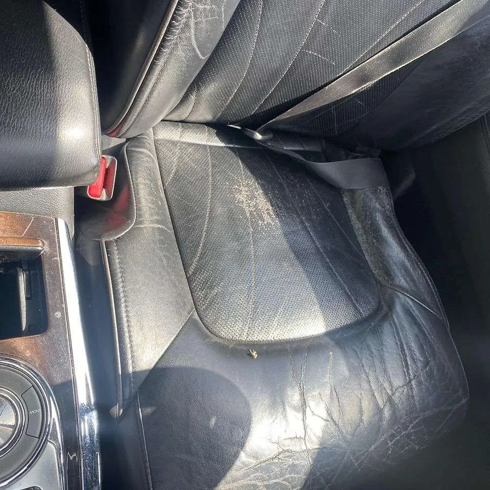 Front Seat (LHS) - 2011 Infiniti QX56