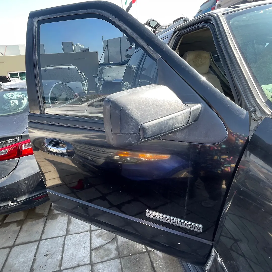 Door (RHF) - 2008 Ford Expedition XLT