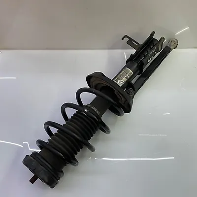 Shock Absorber (RHF) - 2011 Chevrolet Cruze