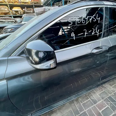 Door (LHF) - 2023 Infiniti QX55