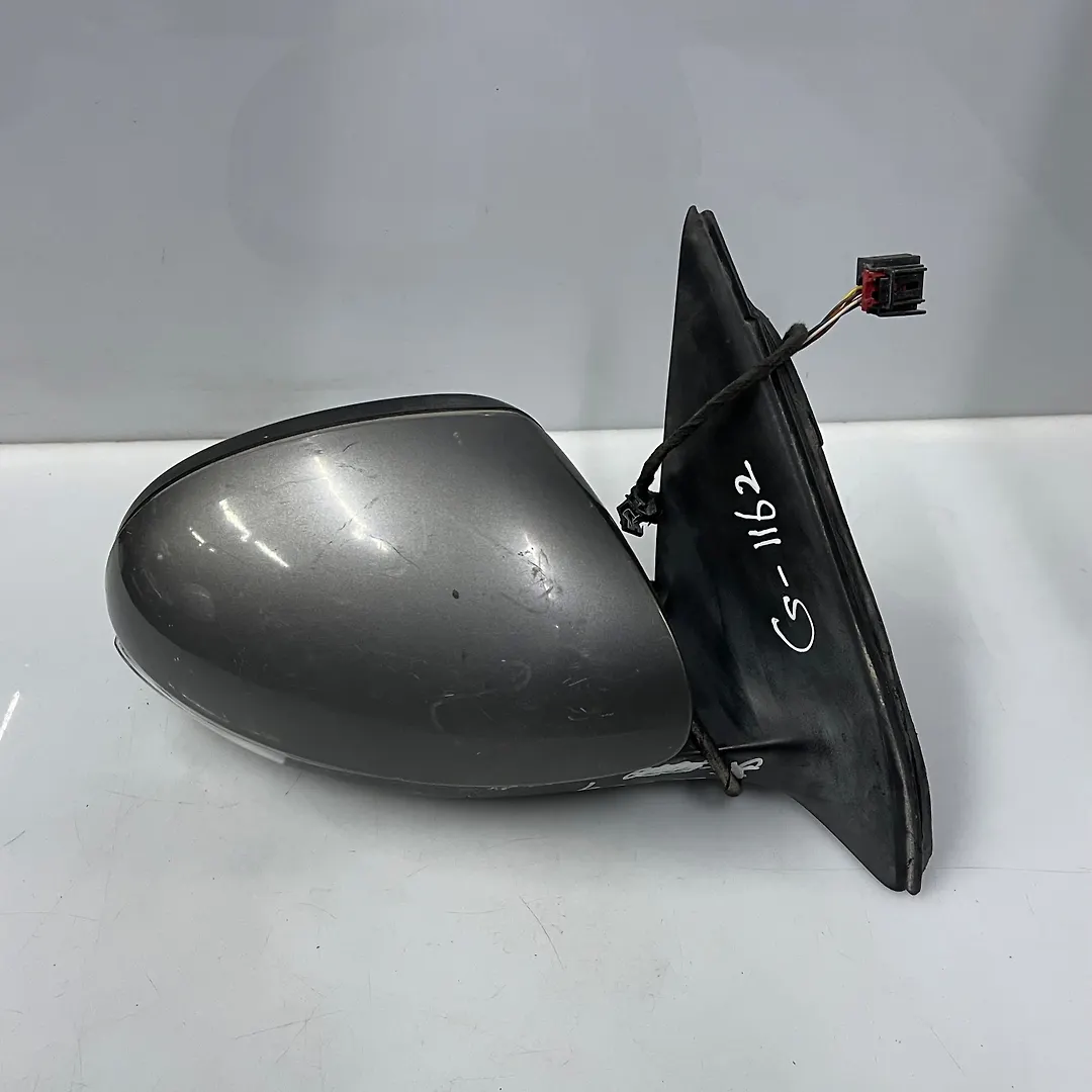 Side Mirror (RH) - 2009 Volkswagen Tiguan