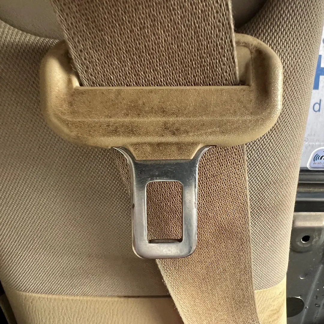 seat belt (LHF) - 2014 Infiniti QX80 SUV