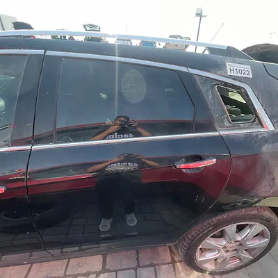 Door (LHB) - 2010 Cadillac SRX Premium