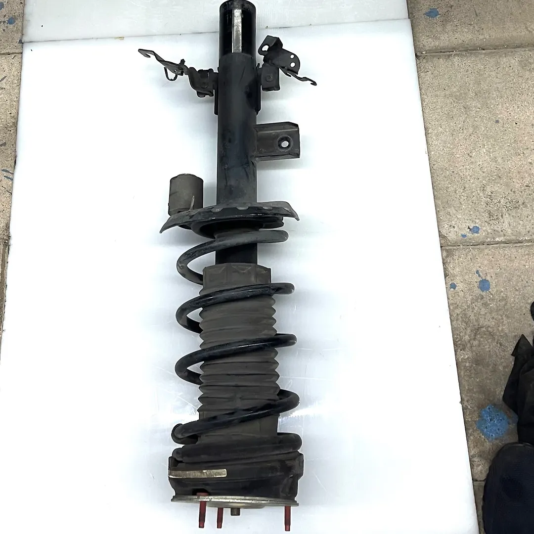 Shock Absorber (RHB) - 2012 Land Rover RANGE ROVER EVOQUE