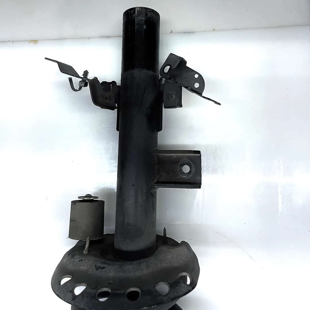 Shock Absorber (RHB) - 2012 Land Rover RANGE ROVER EVOQUE