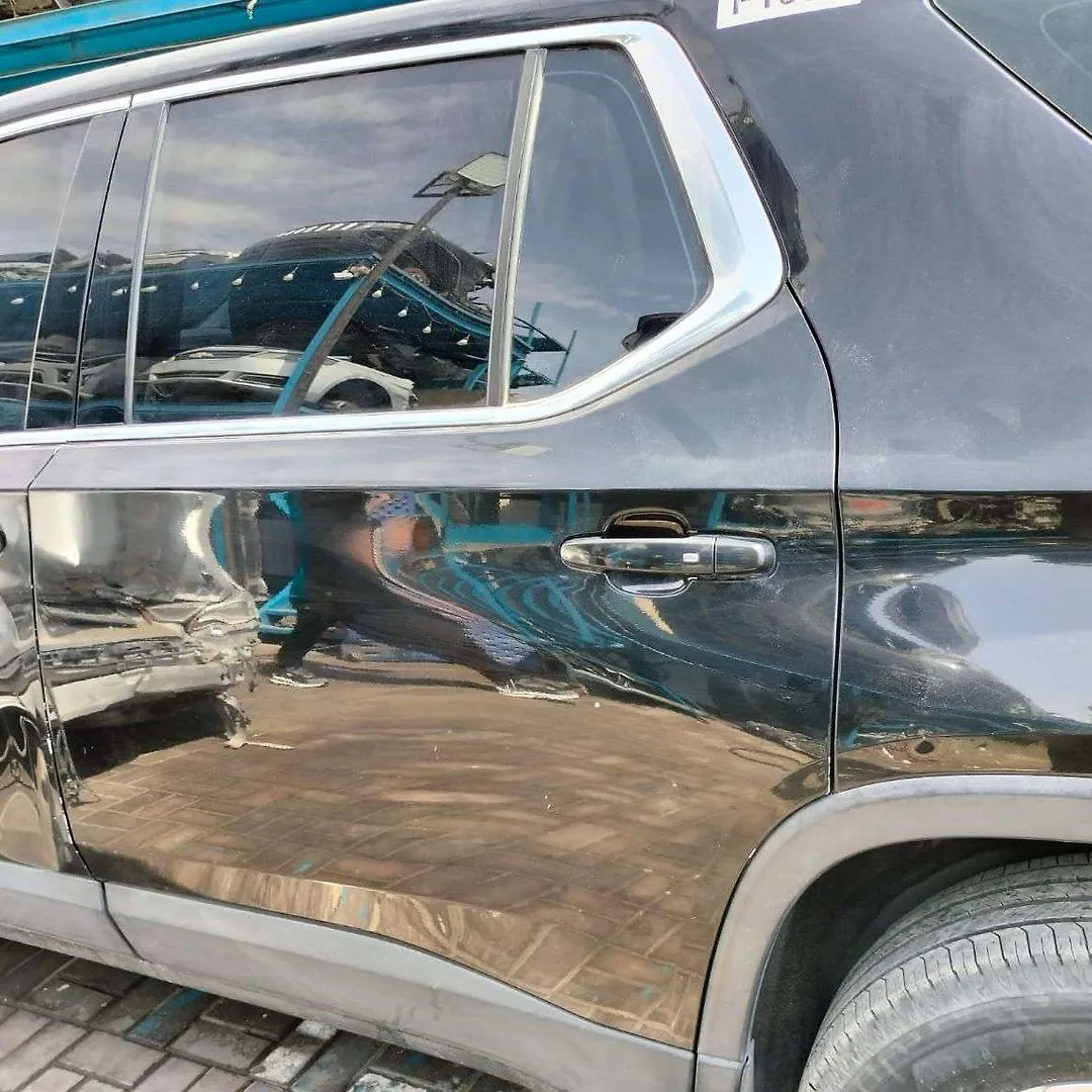 Door (LHB) - 2019 Chevrolet Traverse