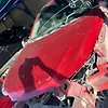 Hood/Bonnet - 2015 Chevrolet Impala