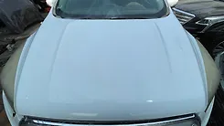 Hood/Bonnet - 2019 Ford Escape