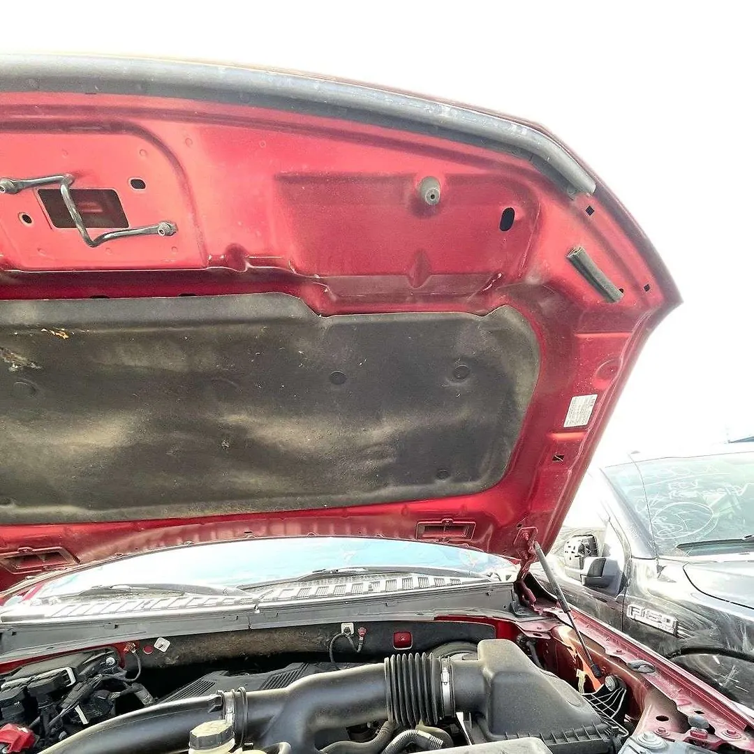 Hood/Bonnet - 2018 Ford Expedition