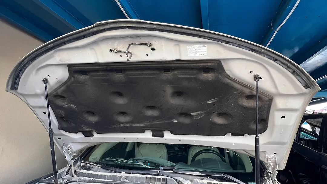 Hood/Bonnet - 2017 Lincoln MKX