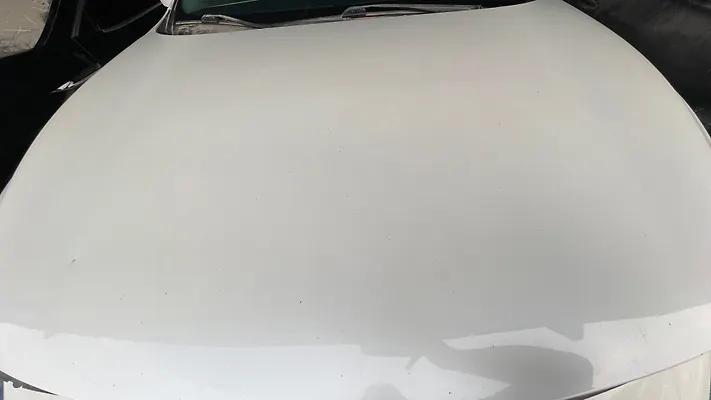 Hood/Bonnet - 2015 Infiniti QX60