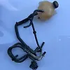 Radiator Water Bottle - 2018 Ford EcoSport