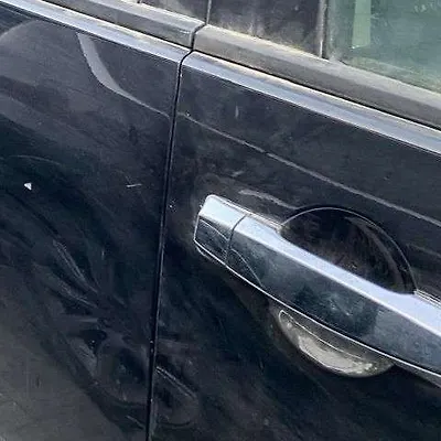 Door (LHF) - 2010 Infiniti QX56 5.6i