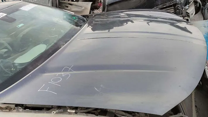 Hood/Bonnet - 2016 Dodge Charger
