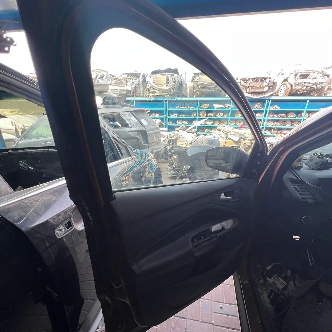 Door (LHF) - 2017 Ford Escape