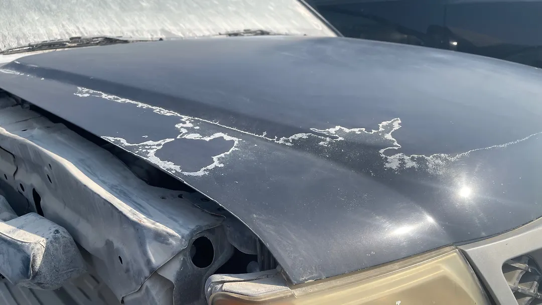 Hood/Bonnet - 2008 Nissan Xterra