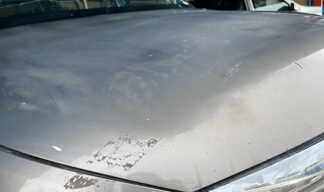 Hood/Bonnet - 2013 Infiniti QX56