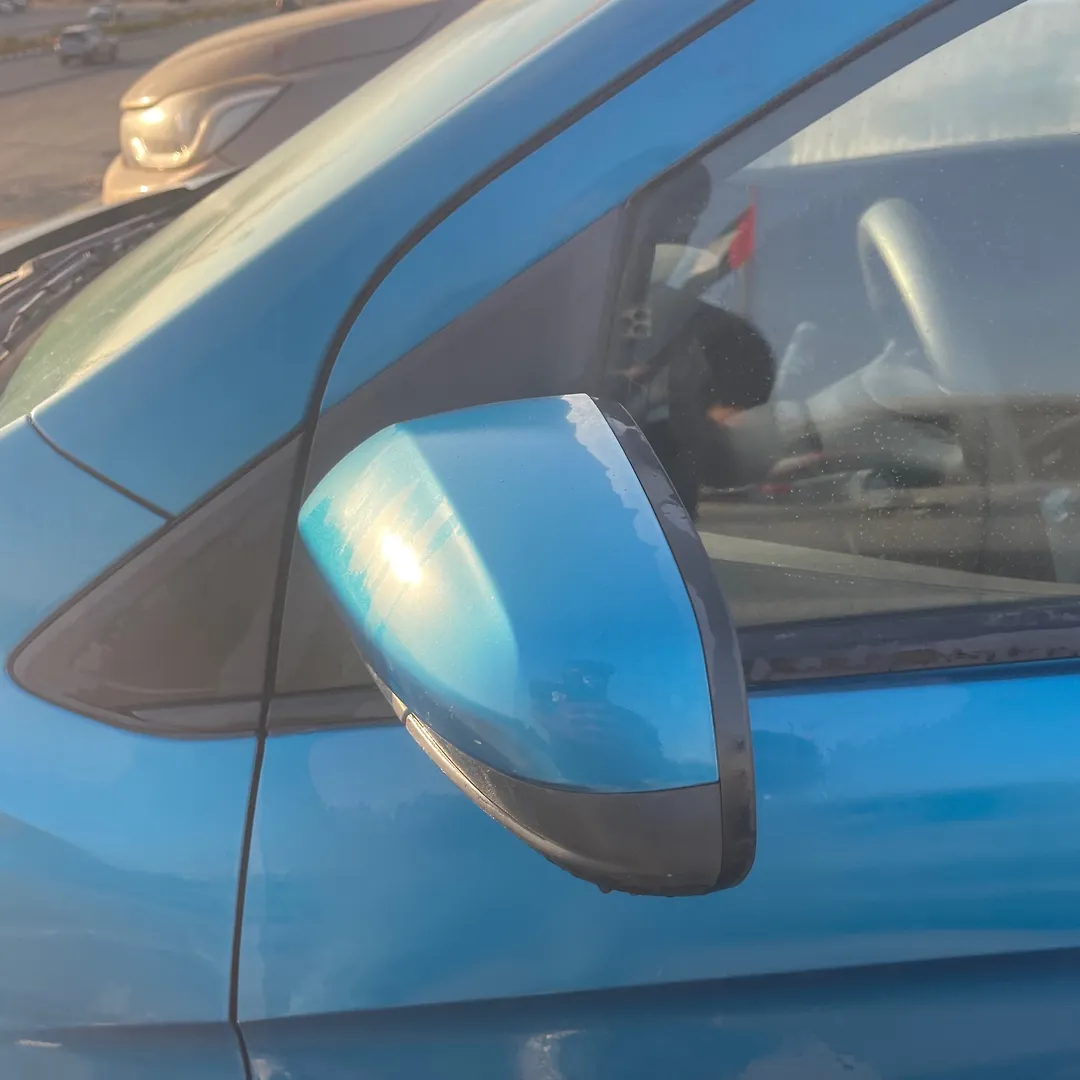 Side Mirror (LH) - 2019 Chevrolet Spark