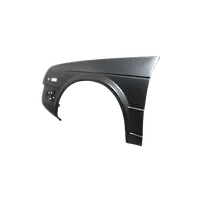 Fender moulding (RHF)