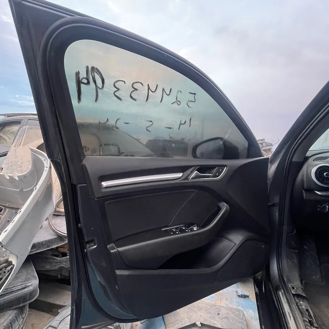 Door (LHF) - 2018 Audi A3
