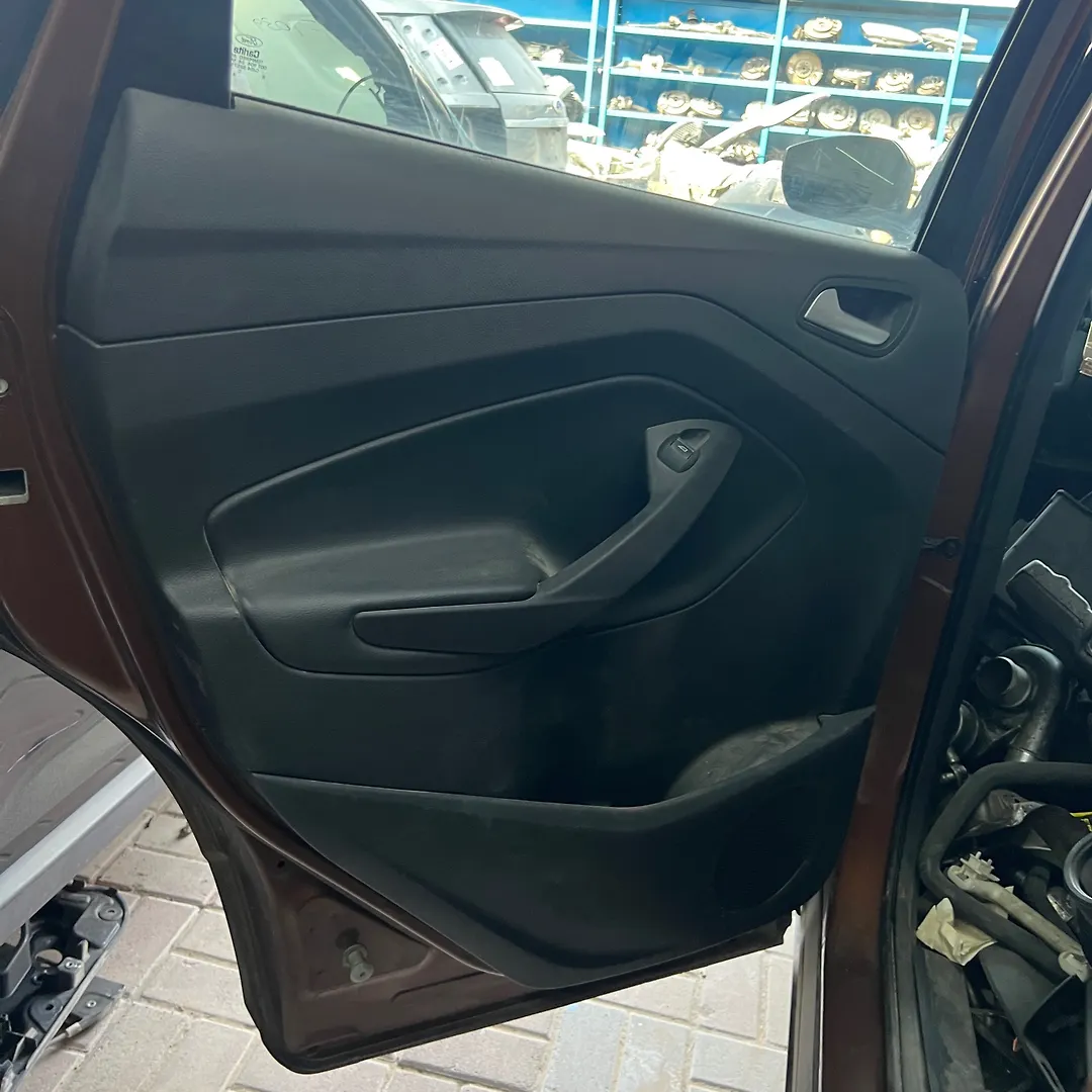 Door (LHB) - 2017 Ford Escape