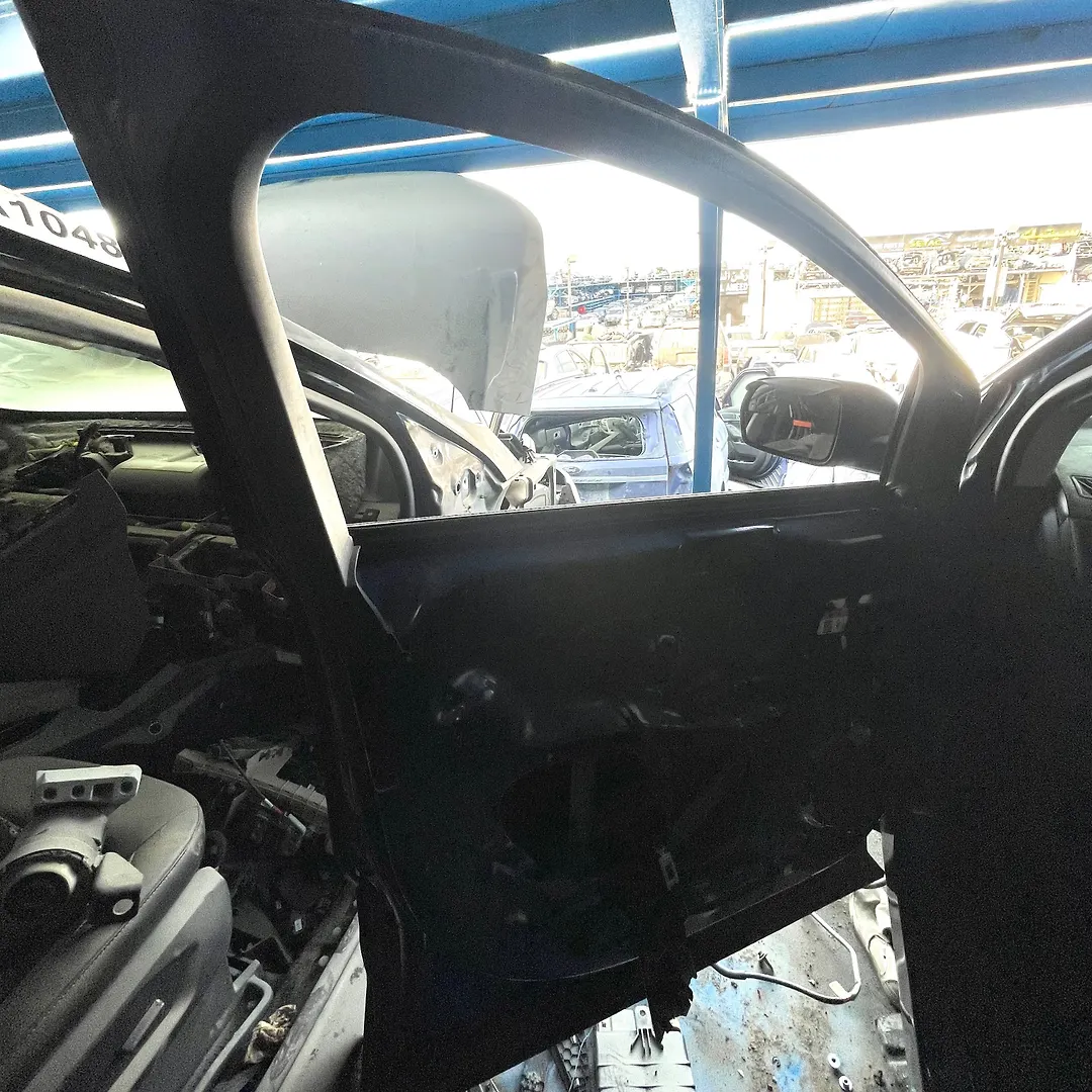 Door (LHF) - 2017 Ford Edge