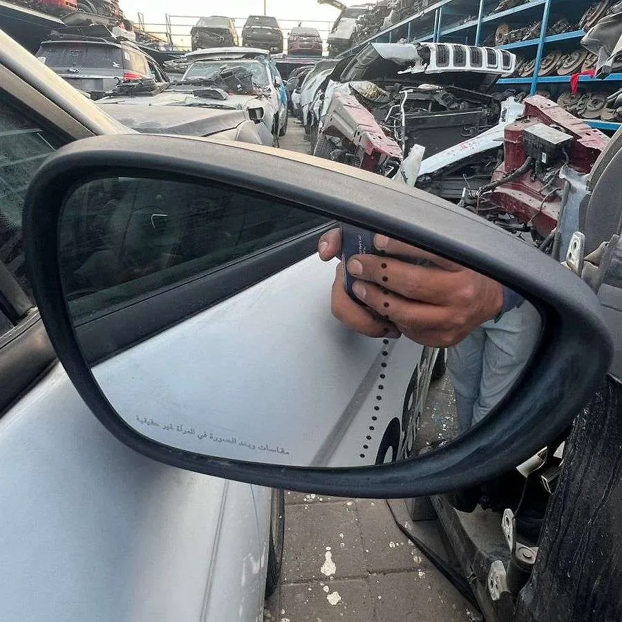 Side Mirror (RH) - 2015 Ford Fiesta