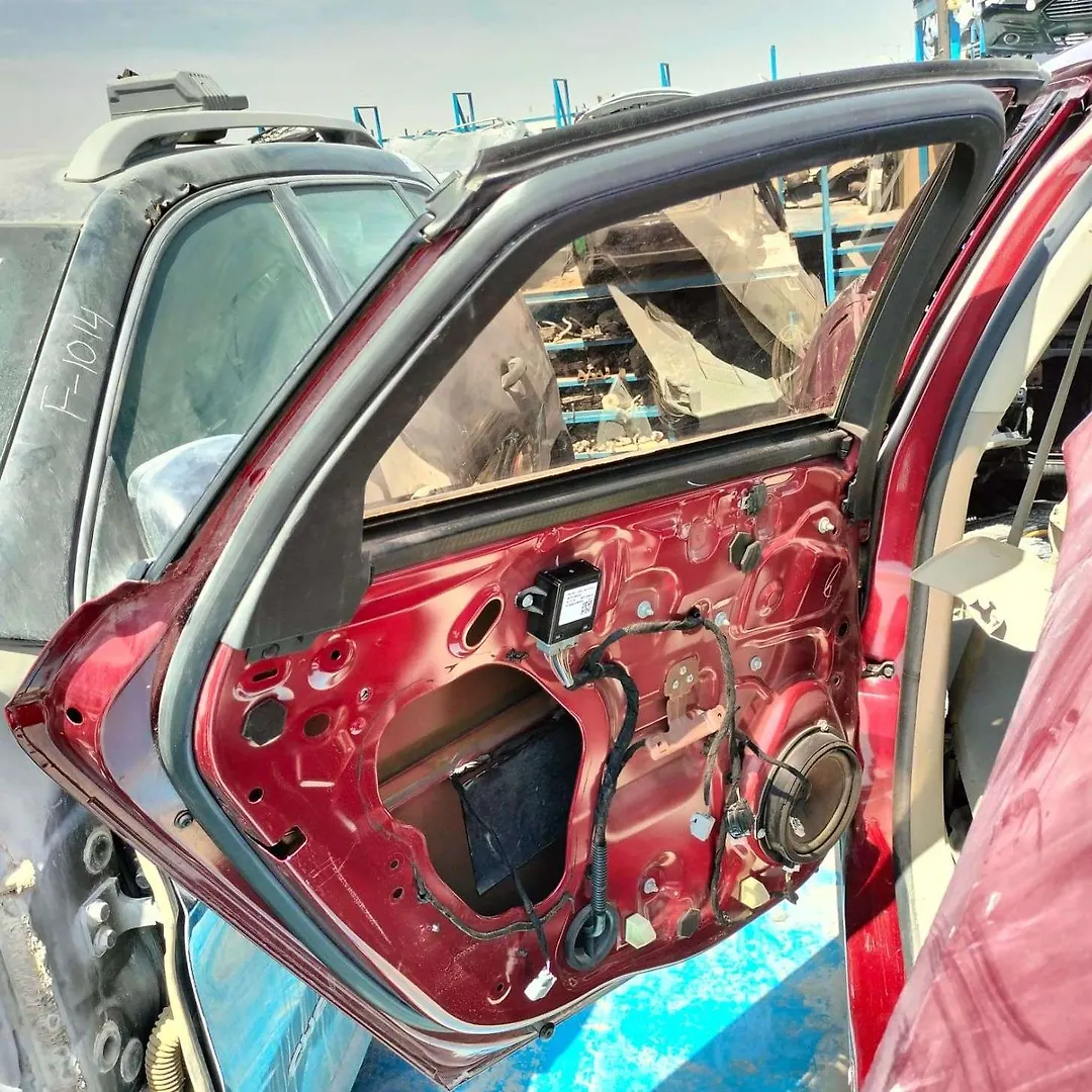 Door (LHB) - 2017 Ford Fusion