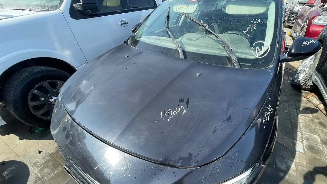 Hood/Bonnet - 2017 Dodge Neon