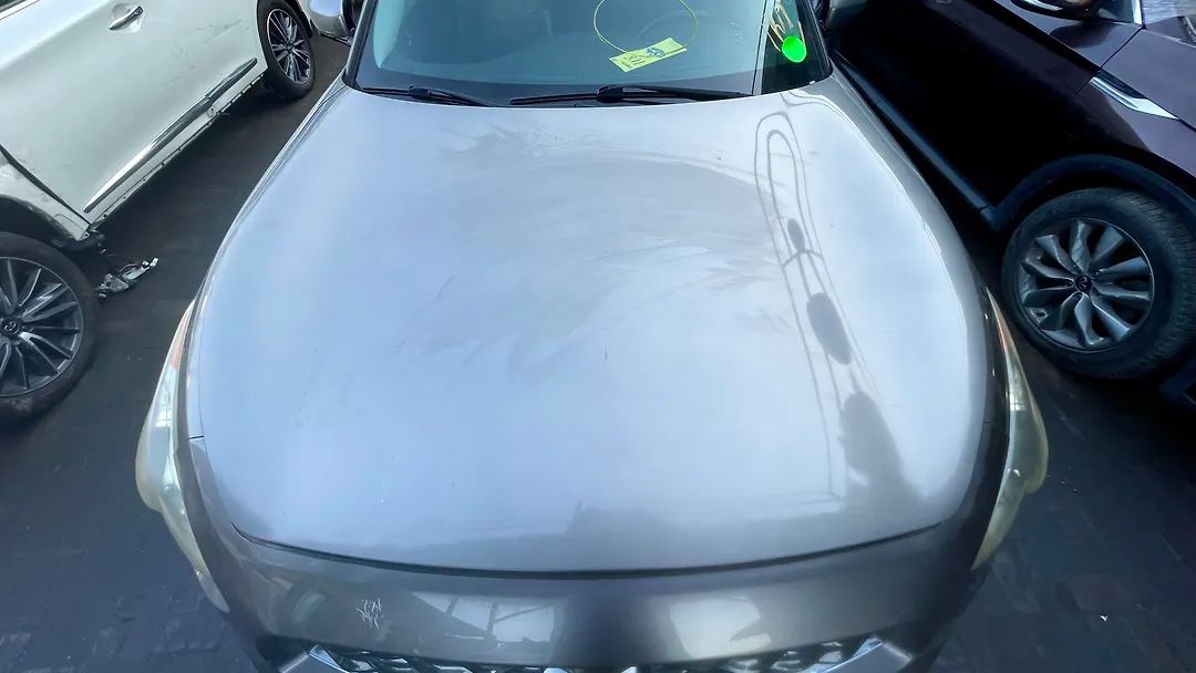 Hood/Bonnet - 2011 Infiniti FX-35