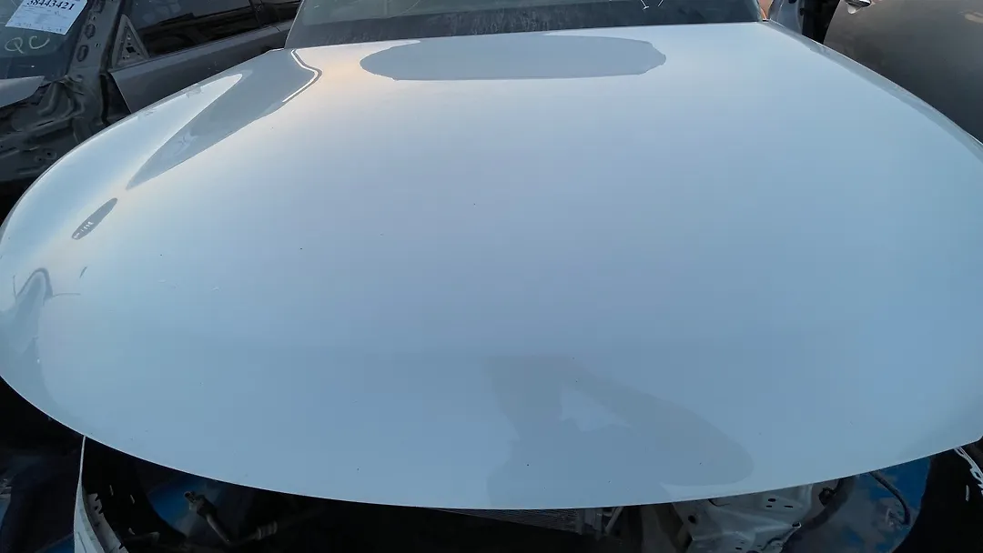 Hood/Bonnet - 2013 Infiniti QX56