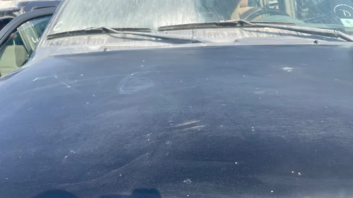 Hood/Bonnet - 2006 Nissan Armada