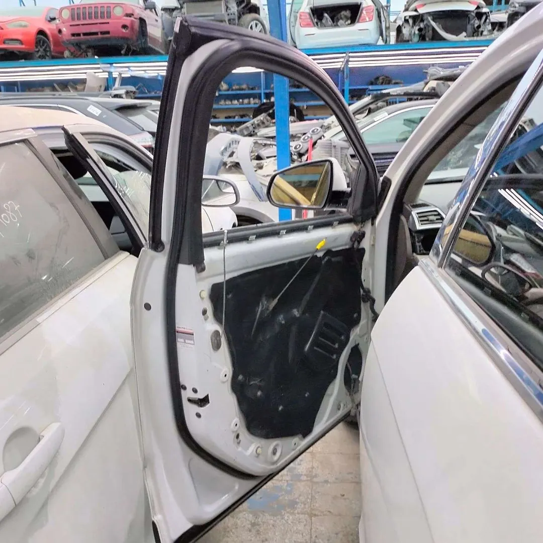 Door (LHF) - 2011 Cadillac SRX